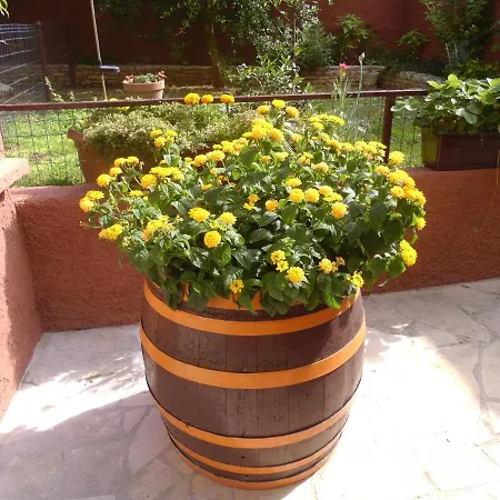 Apartman Apartman Armando Póla