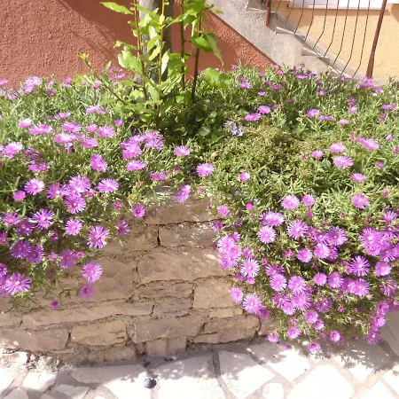Apartman Armando Apartman *
